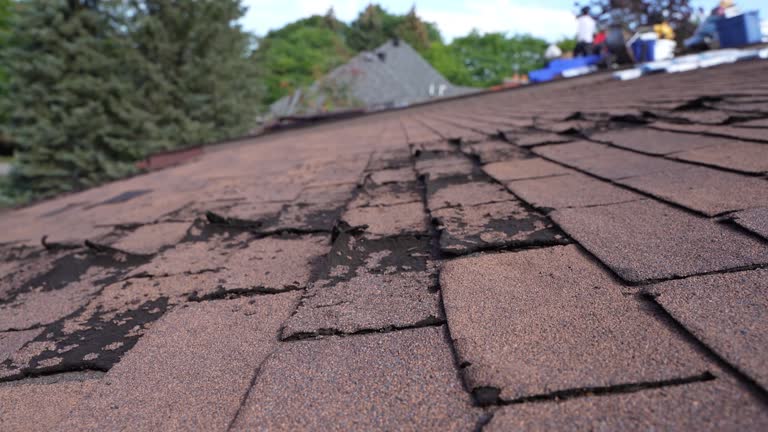 Best Steel Roofing  in Eldersburg, MD