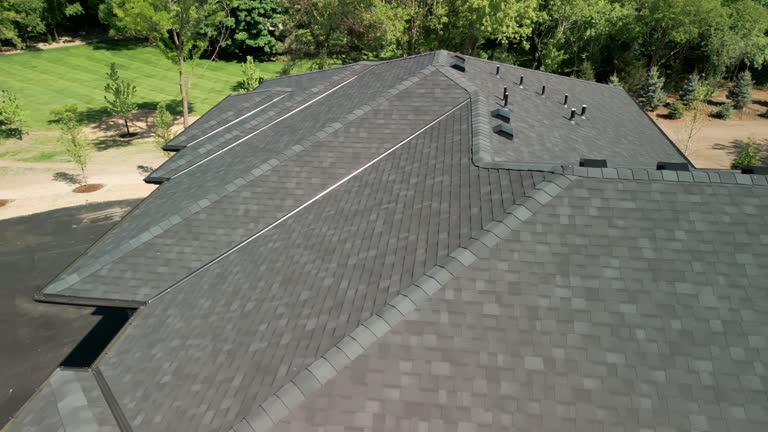 Best Roof Coating and Sealing  in Eldersburg, MD